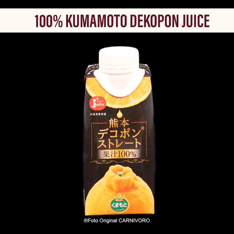 ジュース Suco 100% de Dekopon Kumamoto 195ml /Preço com imposto de 8% incluso
